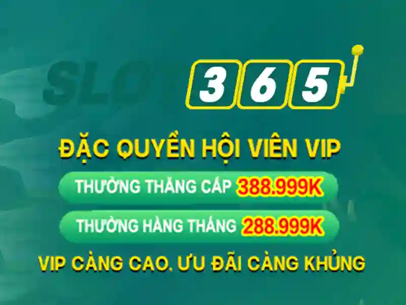 biểu đồ thể hiện quản lý rủi ro tài chính khi cá cược