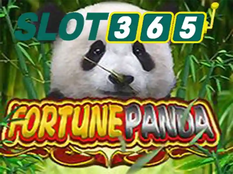 slot365 – Tổng quan chủ đề và giá trị cốt lõi